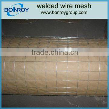 11 gauge galvanized welded wire mesh