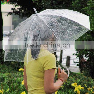 8k Transparent Poe Umbrella photo-2