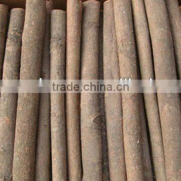 Cassia stick in 20kg