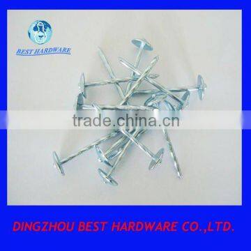 galvanized umbrella head twist nail