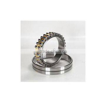 Shield Professional Bearing NN4060 Double Row Cylindrical Roller Bearing