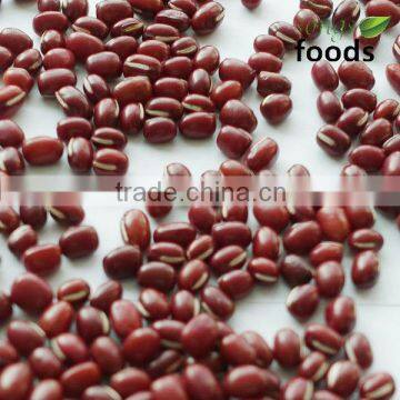 Azuki Bean 2014