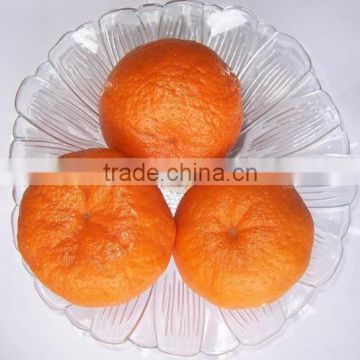 2015 fresh orange citrus fruit with cheaper price