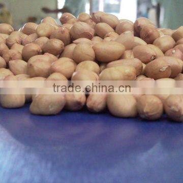 PEANUTS SUPPLIER