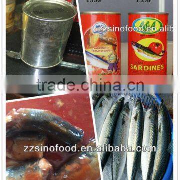 Canned Tins Canned Fish Manufacturer