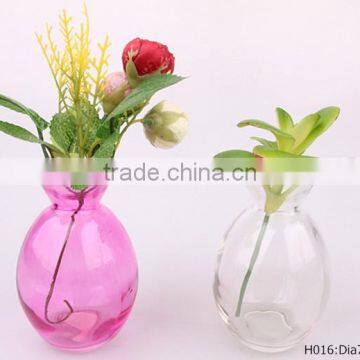 mini glass vase used for hydroponic plant