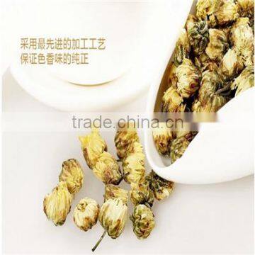 Chinese Dry Yellow Chrysanthemum Flower New Crop