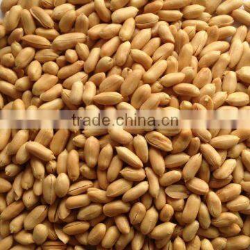 Selected Peanuts 2015 crop