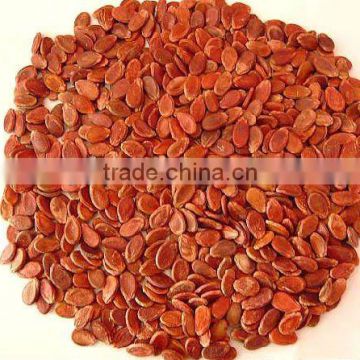 plumpness CHINESE red watermelon seeds for worldwide seeds