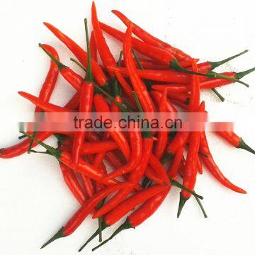 The lastest generation F1 hybrid drying processing red hot pepper seeds