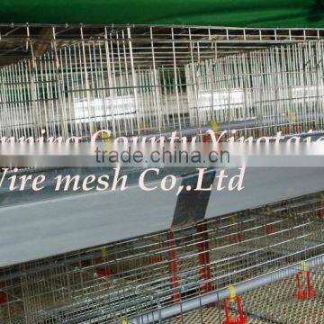 Poultry Dung Removing Machinery Equipment /layer Poultry Cages for Nigeria/africa