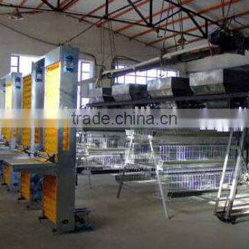 made in China mujia model Automatic egg collecting machine