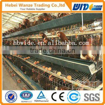 chicken cage , battery cages laying hens,poultry farming equipment (Anping factory)