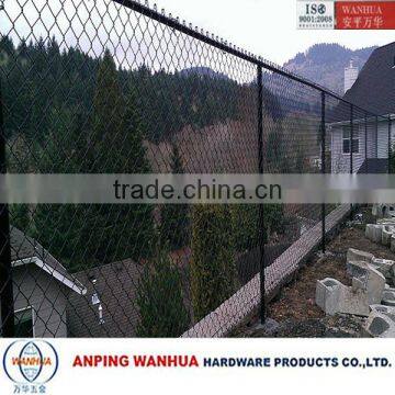 Anping Wanhua--Hot Sales Coated Diamond Wire Mesh Panels photo-5