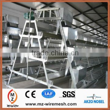 High quality Automatic layer chicken cages Anping manufacture/A type layers chicken cage