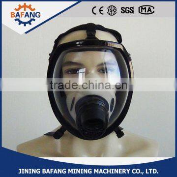 China Reasonable Price Full Head Face Gas Mask photo-3
