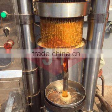 Ideal Function Sesame Oil Extruder Machine With Good Final Product photo-5