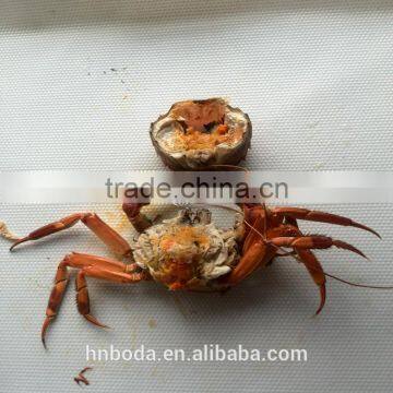 Batch Type Microwave Cooker photo-2