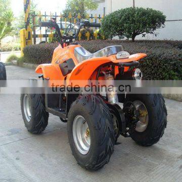 (JLA-02-01)mini Gas Powered Atv Cheap 110cc Mini Atv for Sale photo-3