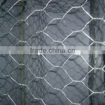 Hexagonal wire mesh (factory)