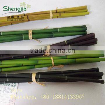 Indoor Foliage, Dracaena Sanderiana,Lucky Bamboo photo-3