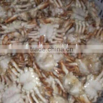 Frozen Sand Crab Whole photo-2