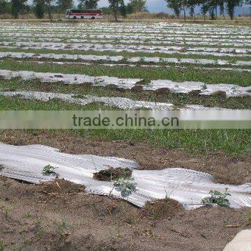 Black and Silver PE Biodegradable Mulch Film for Agriculture Greenhouse photo-3