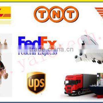 Price of Safety Belt Made by Ningbo and Hangzhou Factory CE Certification photo-4