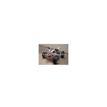 Quad (ATV)
