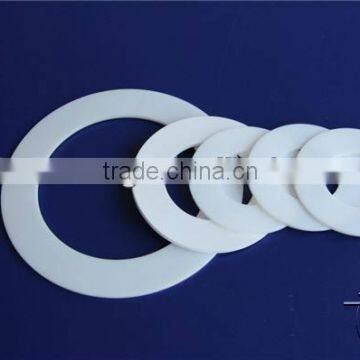 Ring gasket seal gasket