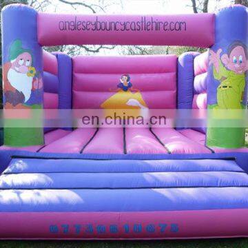 China golden supplier cartoon adult bounce house/inflatable bouncer for sale/inflatables QX-113B