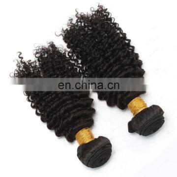 8A Virgin Hair Kinky Curly 100% Natural Original Brazilian Human Hair for Black Women photo-6