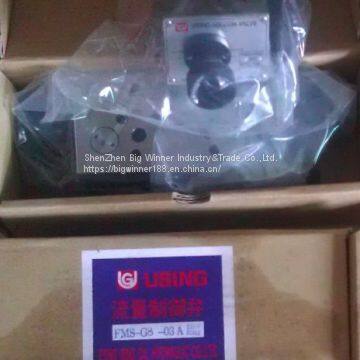 USING Control valve FMS-G8-03A
