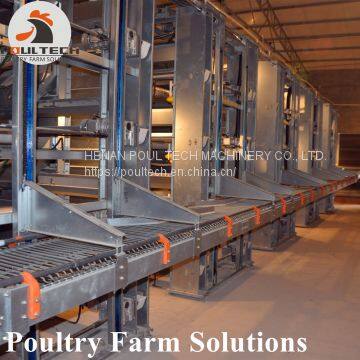 H Type Layer Chicken Chicken Cage With Full Automatic Equipment for 50000 Birds
