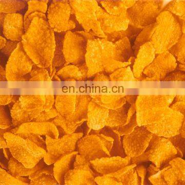 Jinan Saixin 150kg/h Corn Flakes Making Machine Price India Breakfast Cereals Making Extruder Processing Line photo-4