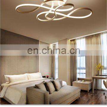 LED Ceiling Lamp Simple Modern Household Personality Living Room Bedroom Lamp Creative Dining Room Study Lamp photo-6