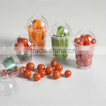 transparent plastic cup,fruit container,smoothie cup,takeaway cup,factory made PET cup