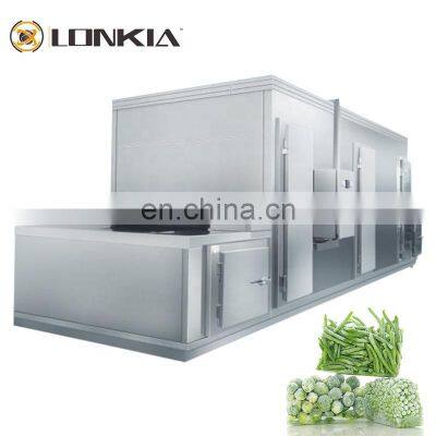 LONKIA Individual Quick Freezing IQF Vegetable Tunnel Freezer Machine