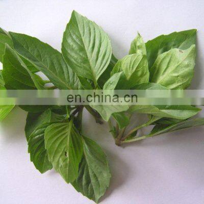 Scented IQF Frozen Basil For Ingredients photo-4