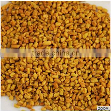 Indian Fenugreek Seeds