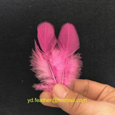 Pink,Sorted Chicken Feathers For Wholesale From China