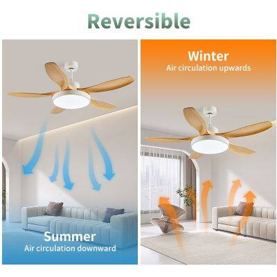 Modern 5 Blade Fan With Remote Ceiling Fan With Light and Remote photo-3