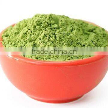 Superior Quality WheatGrass Powder For Healthy Life photo-2