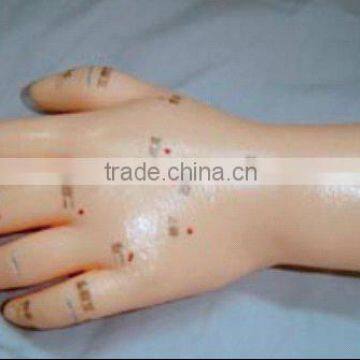 hand model for acupuncture