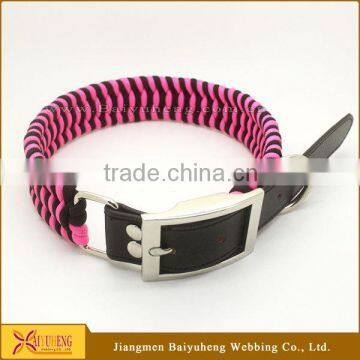 pet dog rope collar and lead