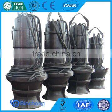 Submersible dewatering pump for pond