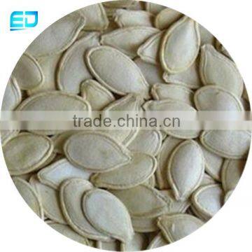 Good Taste Roasted and Salted Shine Skin Pumpkin Seeds 11mm 10mm 9mm High Quality photo-2