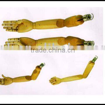 Wooden Arm Model