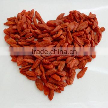 100 Pure and Natural Medlar Oil,Chinese MEDLAR SEED Oil