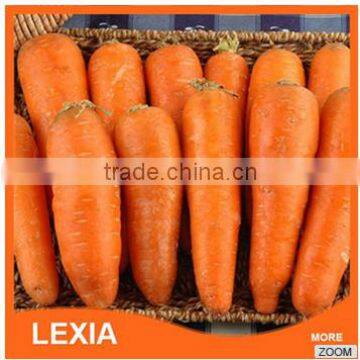 New Crop Fresh Red Carrots